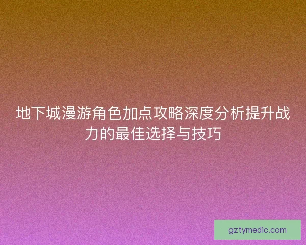 地下城漫游角色加点攻略深度分析提升战力的最佳选择与技巧