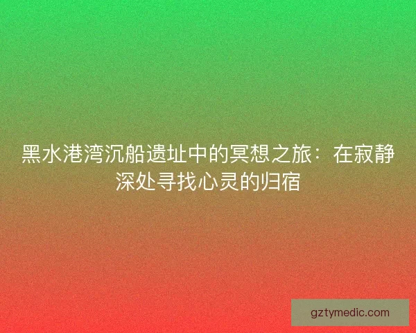 黑水港湾沉船遗址中的冥想之旅：在寂静深处寻找心灵的归宿