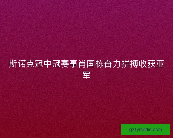 斯诺克冠中冠赛事肖国栋奋力拼搏收获亚军 斯诺克冠中冠赛事肖国栋奋力拼搏收获亚军
