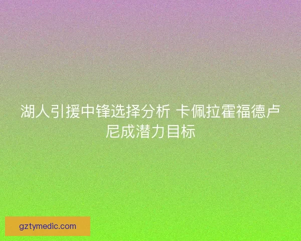 湖人引援中锋选择分析 卡佩拉霍福德卢尼成潜力目标