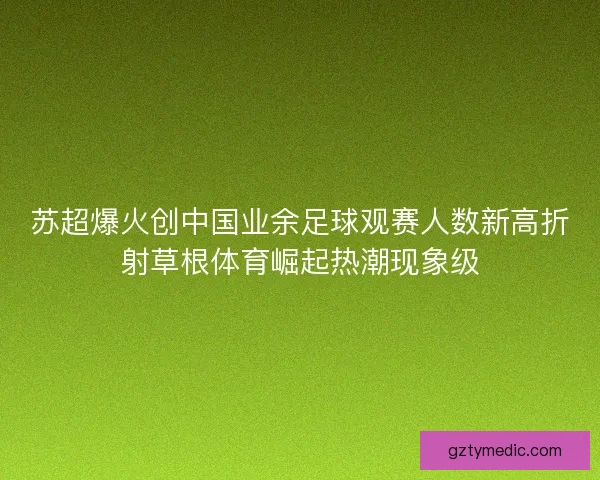 苏超爆火创中国业余足球观赛人数新高折射草根体育崛起热潮现象级 苏超爆火创中国业余足球观赛人数新高折射草根体育崛起热潮现象级