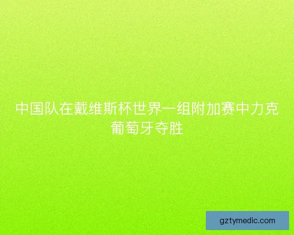 中国队在戴维斯杯世界一组附加赛中力克葡萄牙夺胜 中国队在戴维斯杯世界一组附加赛中力克葡萄牙夺胜